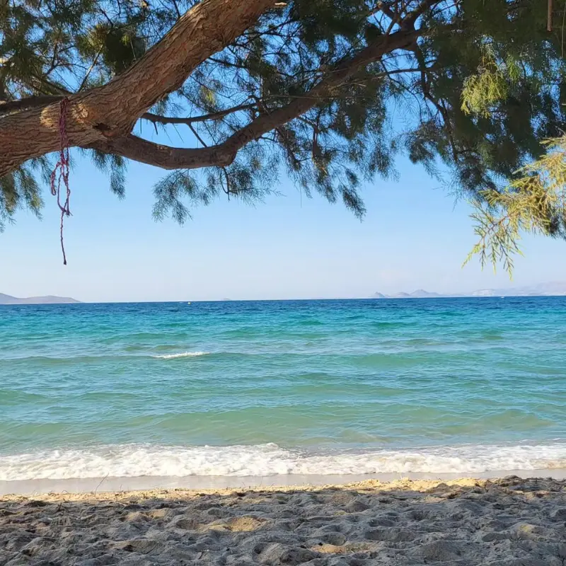 Tigaki kos strand met natuur schaduw van een boom